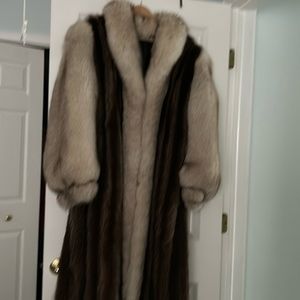 Raccoon with fur trim